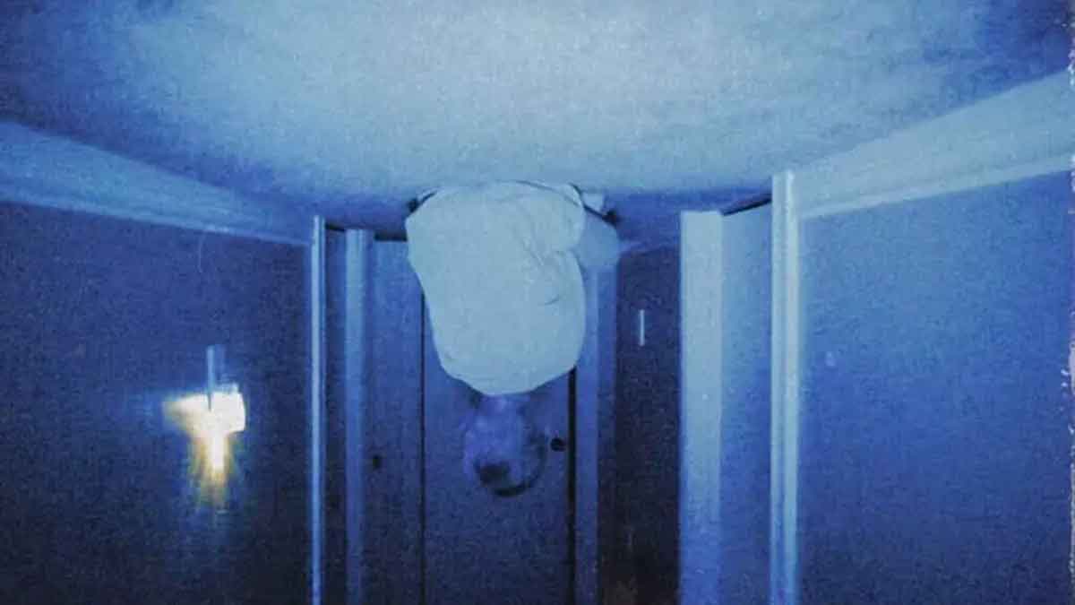 Skinamarink, você precisa assistir este filme de terror!